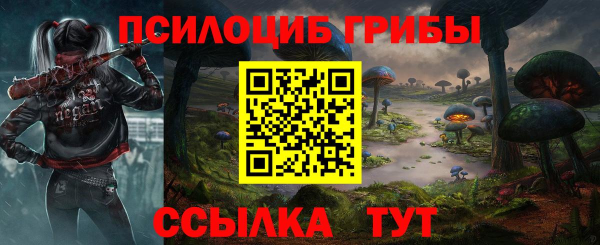Галлюциногенные грибы GOLDEN TEACHER Тихорецк