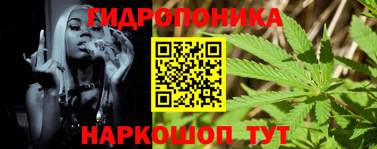 Конопля план  Вход с VPN  Бошки марихуана конопля  МАРИХУАНА VHQ  Тихорецк 
